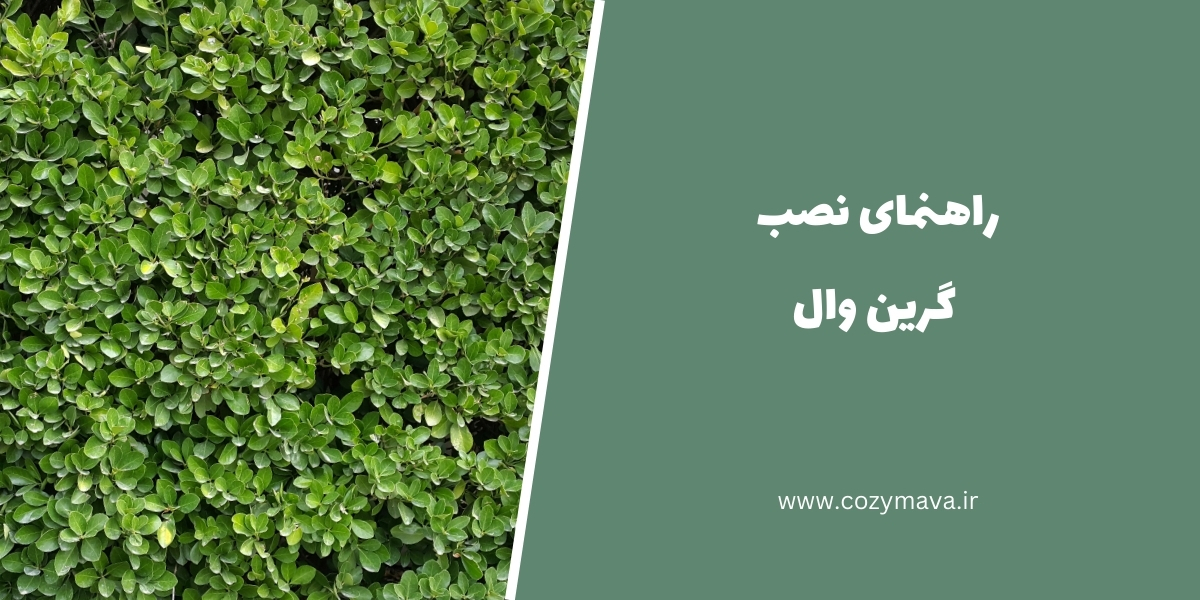 نصب گرین وال - کزی ماوا